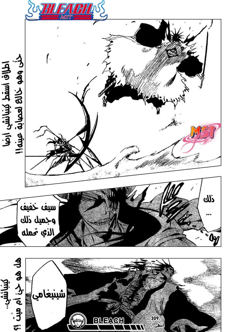 Bleach: Chapter 309 - Page 18