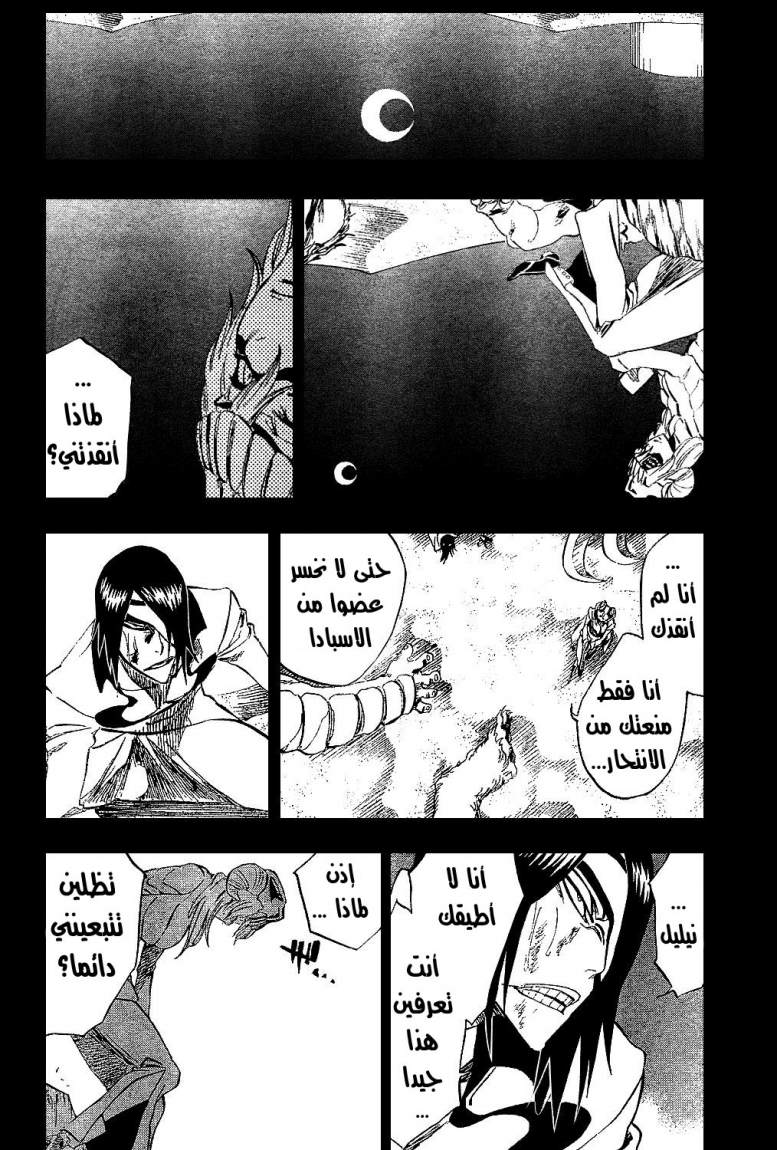 Bleach: Chapter 312 - Page 14