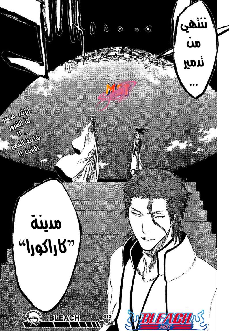 Bleach: Chapter 313 - Page 19