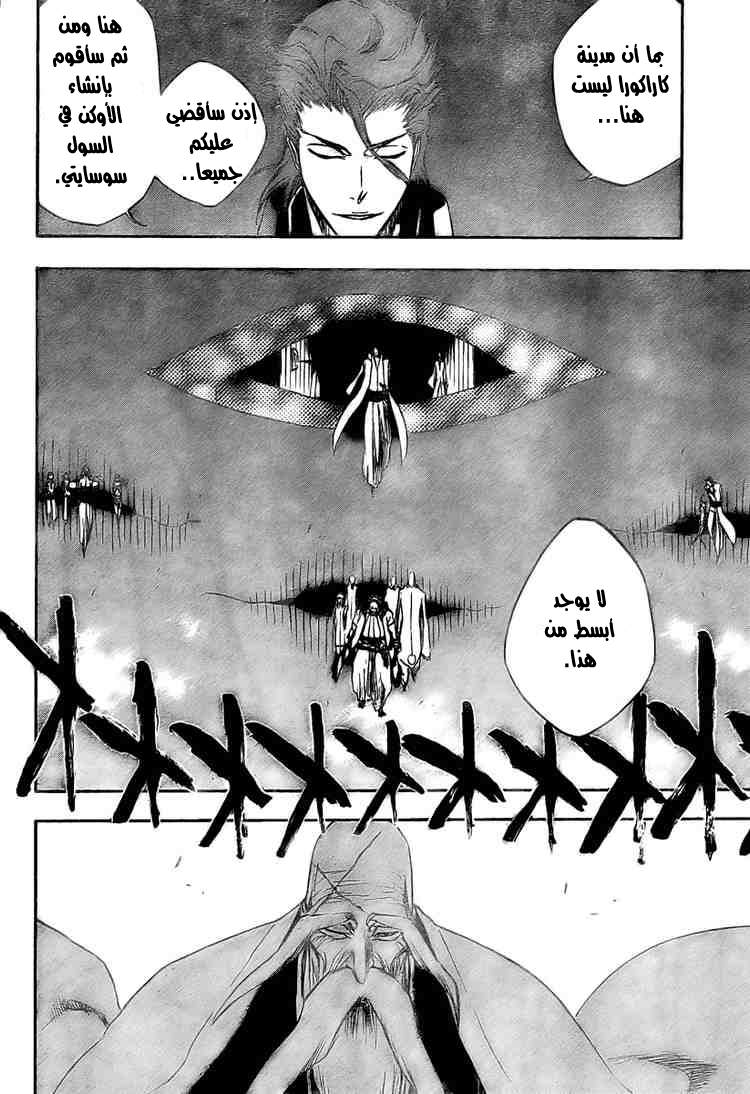 Bleach: Chapter 315 - Page 11