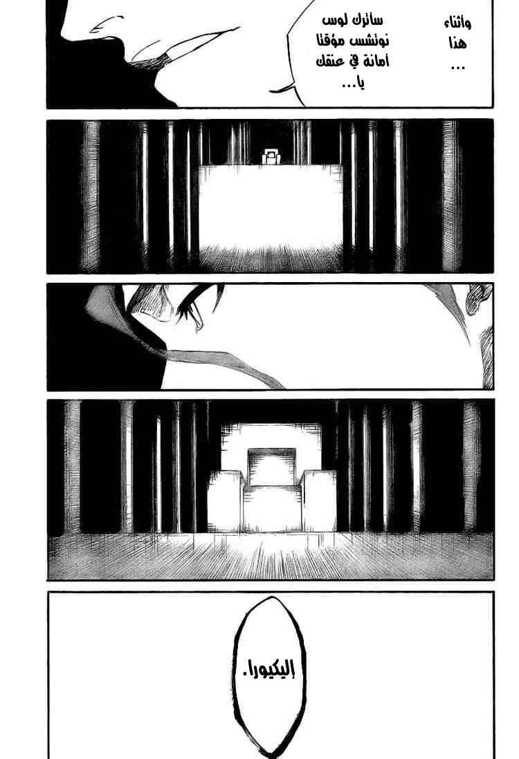 Bleach: Chapter 315 - Page 12