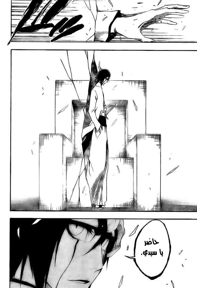 Bleach: Chapter 315 - Page 13