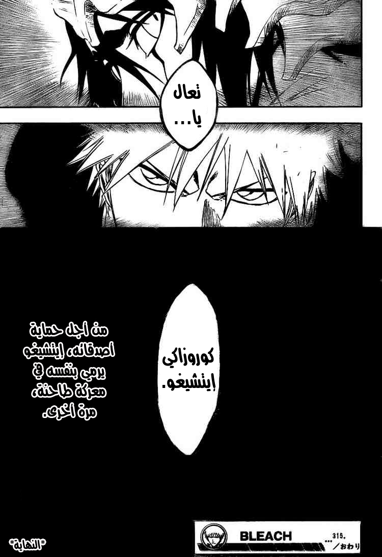 Bleach: Chapter 315 - Page 16