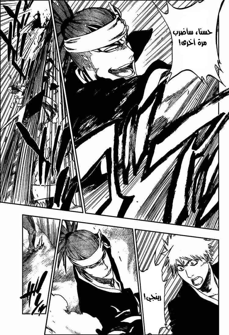 Bleach: Chapter 317 - Page 13