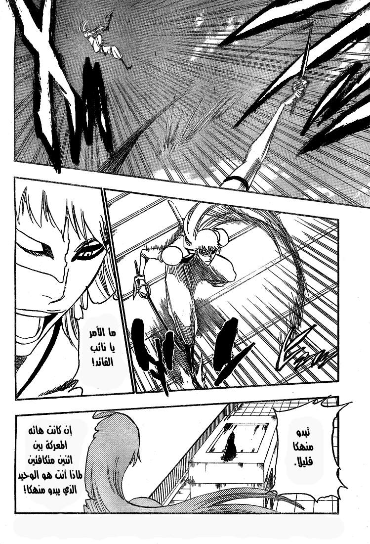 Bleach: Chapter 324 - Page 5