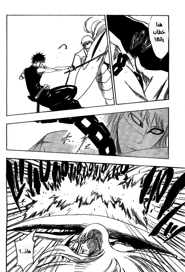 Bleach: Chapter 324 - Page 13