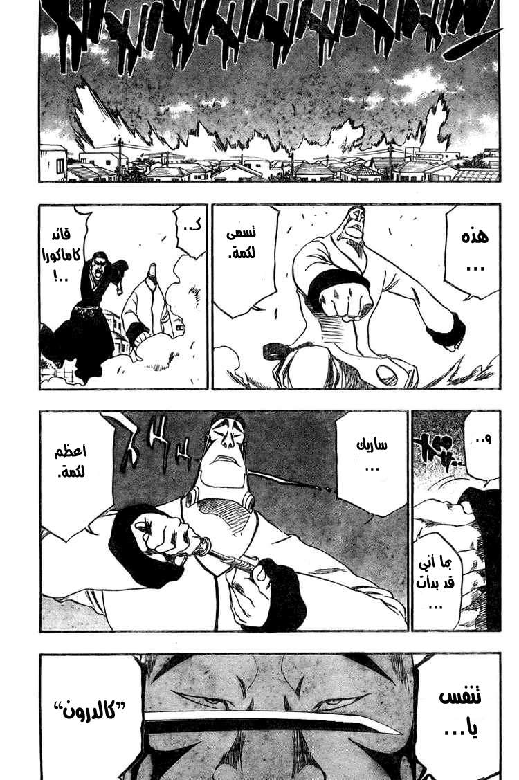 Bleach: Chapter 326 - Page 17