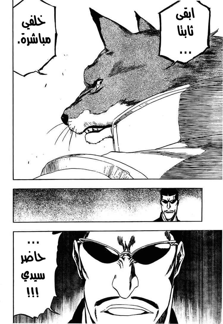 Bleach: Chapter 327 - Page 10