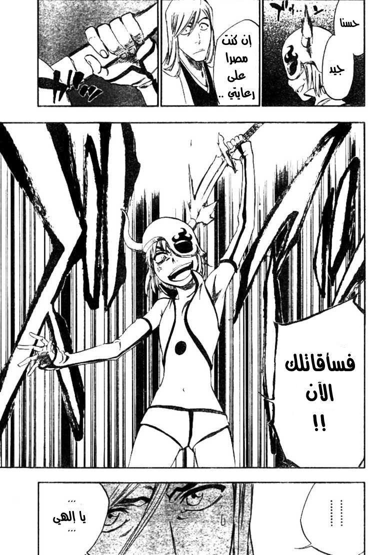 Bleach: Chapter 335 - Page 14