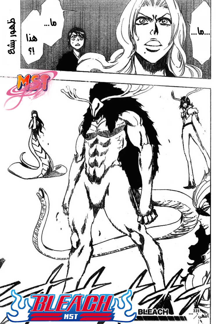 Bleach: Chapter 335 - Page 22