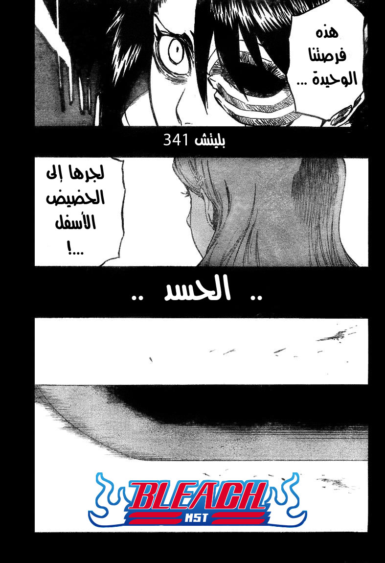 Bleach: Chapter 341 - Page 4