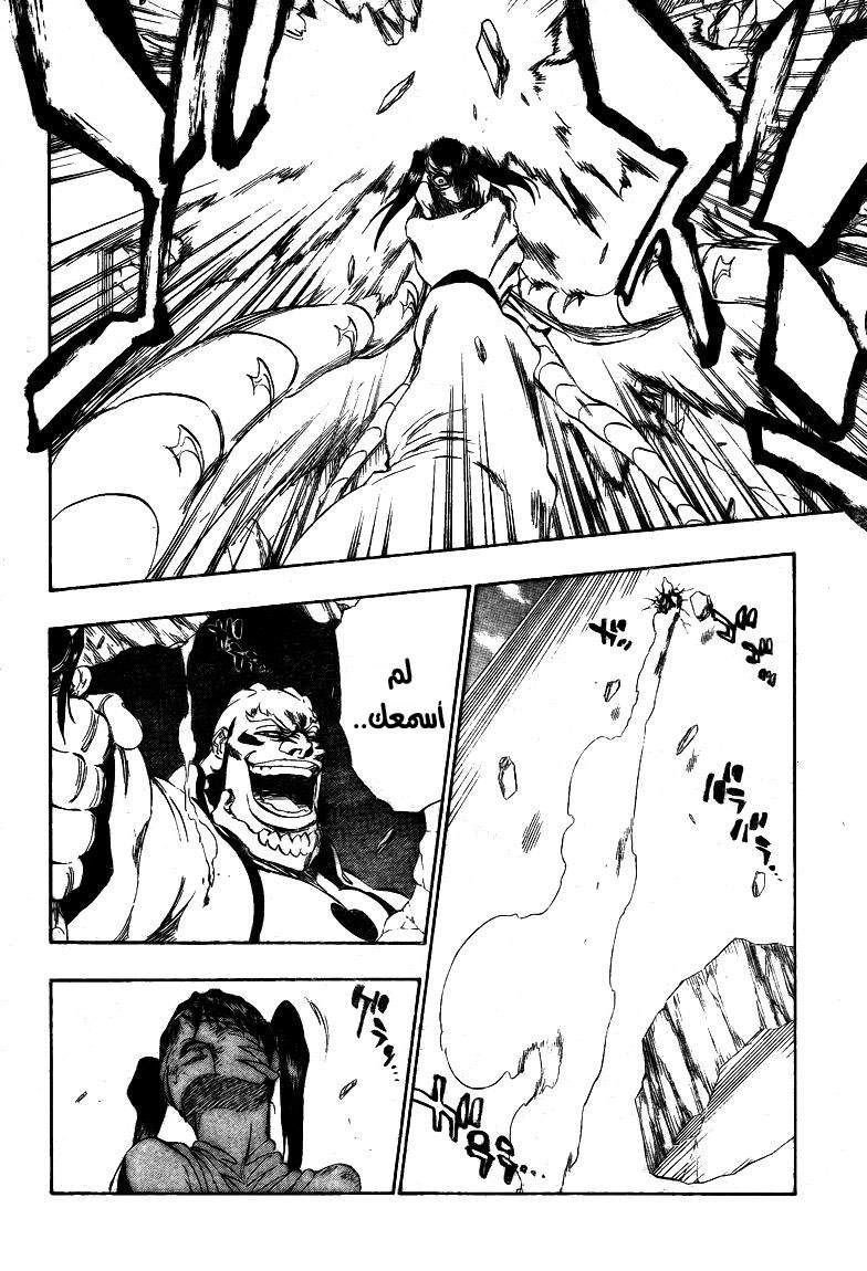 Bleach: Chapter 343 - Page 13