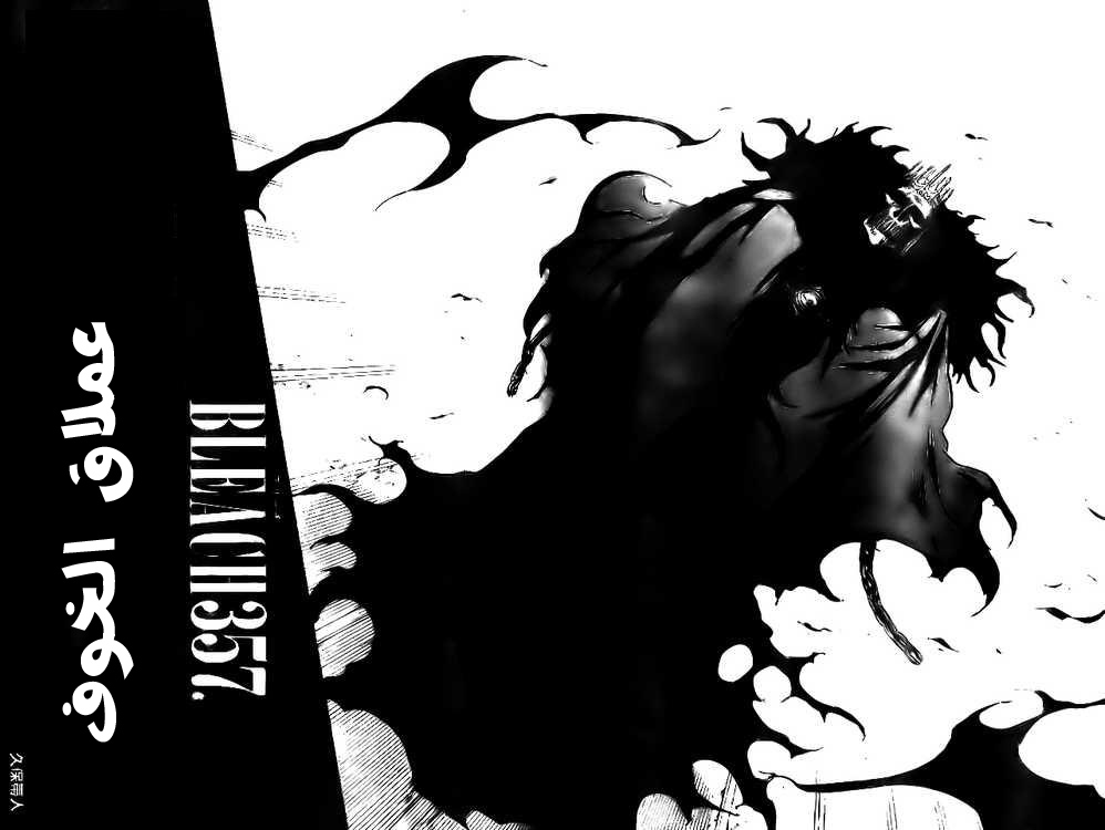 Bleach: Chapter 357 - Page 2