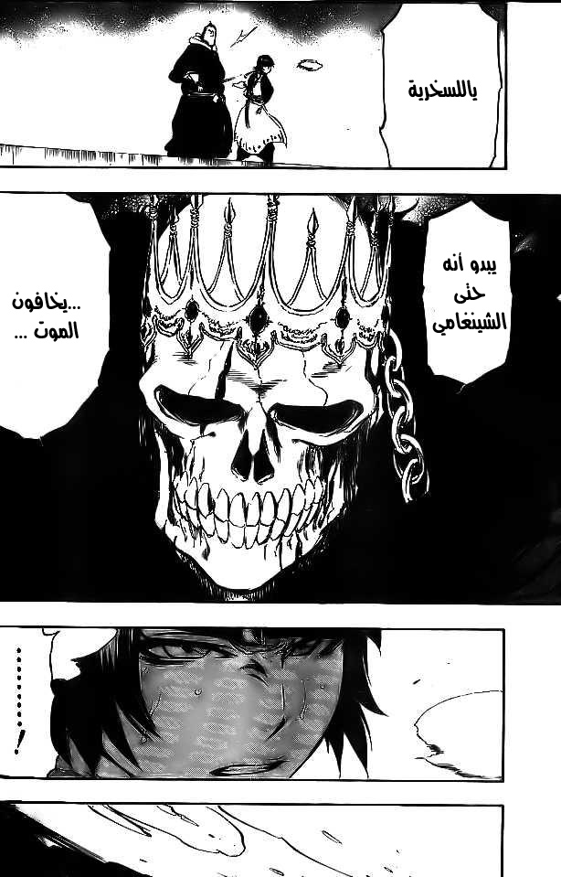 Bleach: Chapter 357 - Page 13