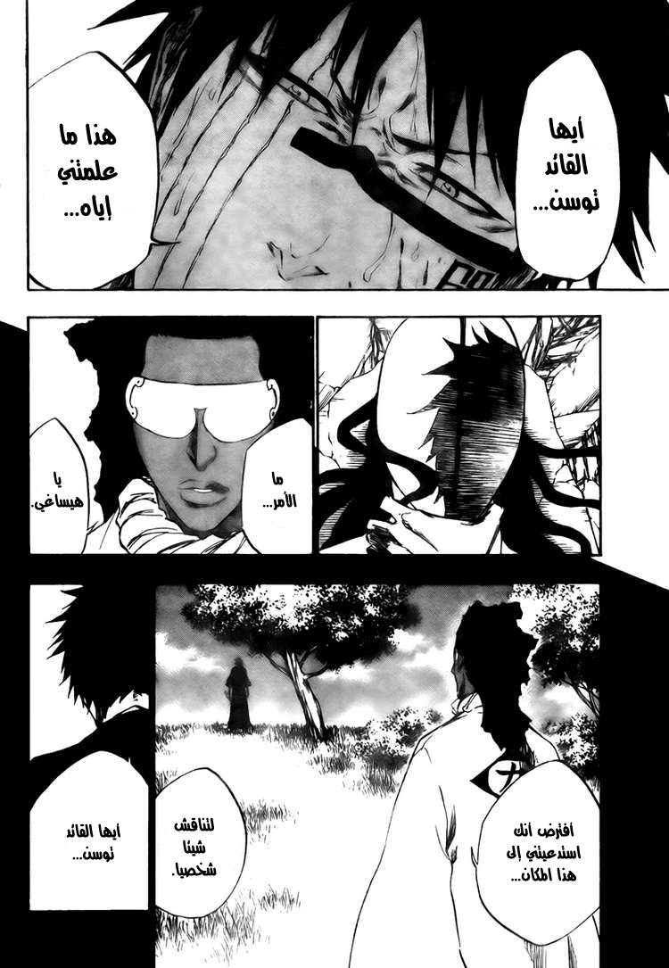 Bleach: Chapter 384 - Page 14