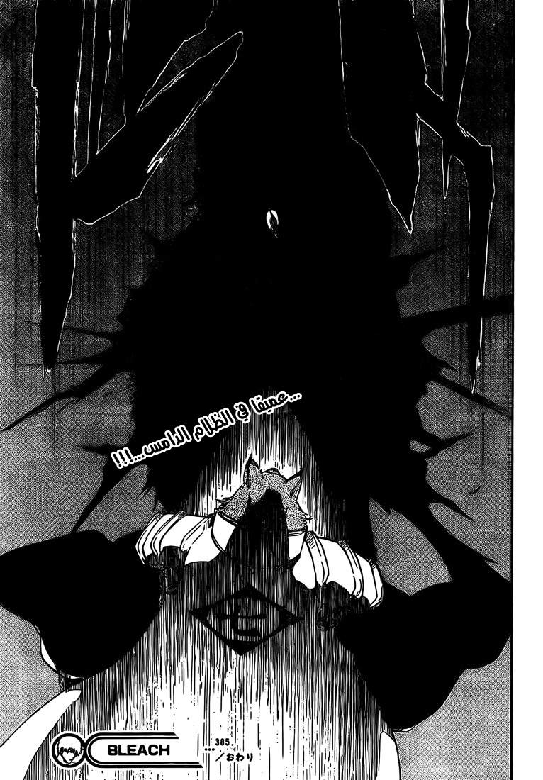 Bleach: Chapter 385 - Page 19