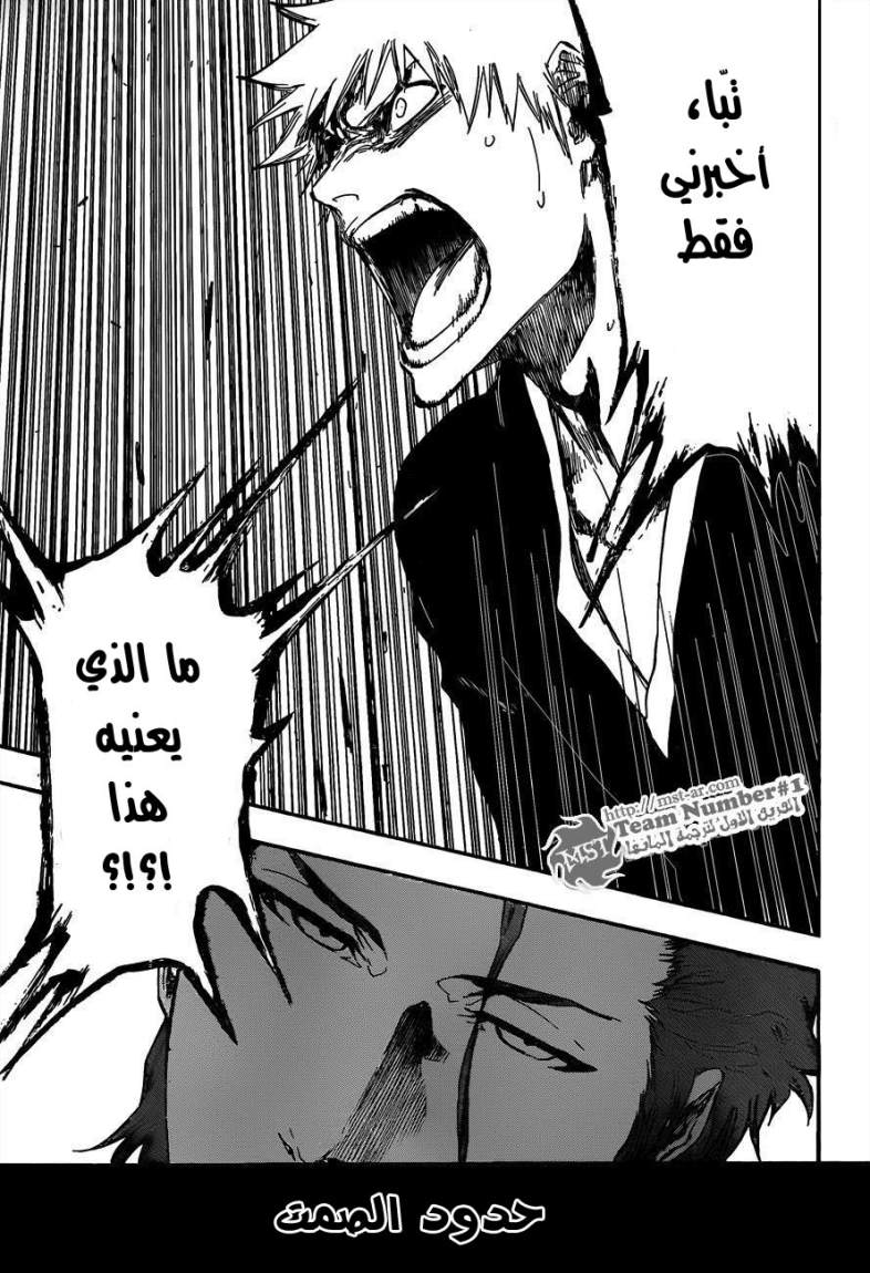 Bleach: Chapter 397 - Page 3