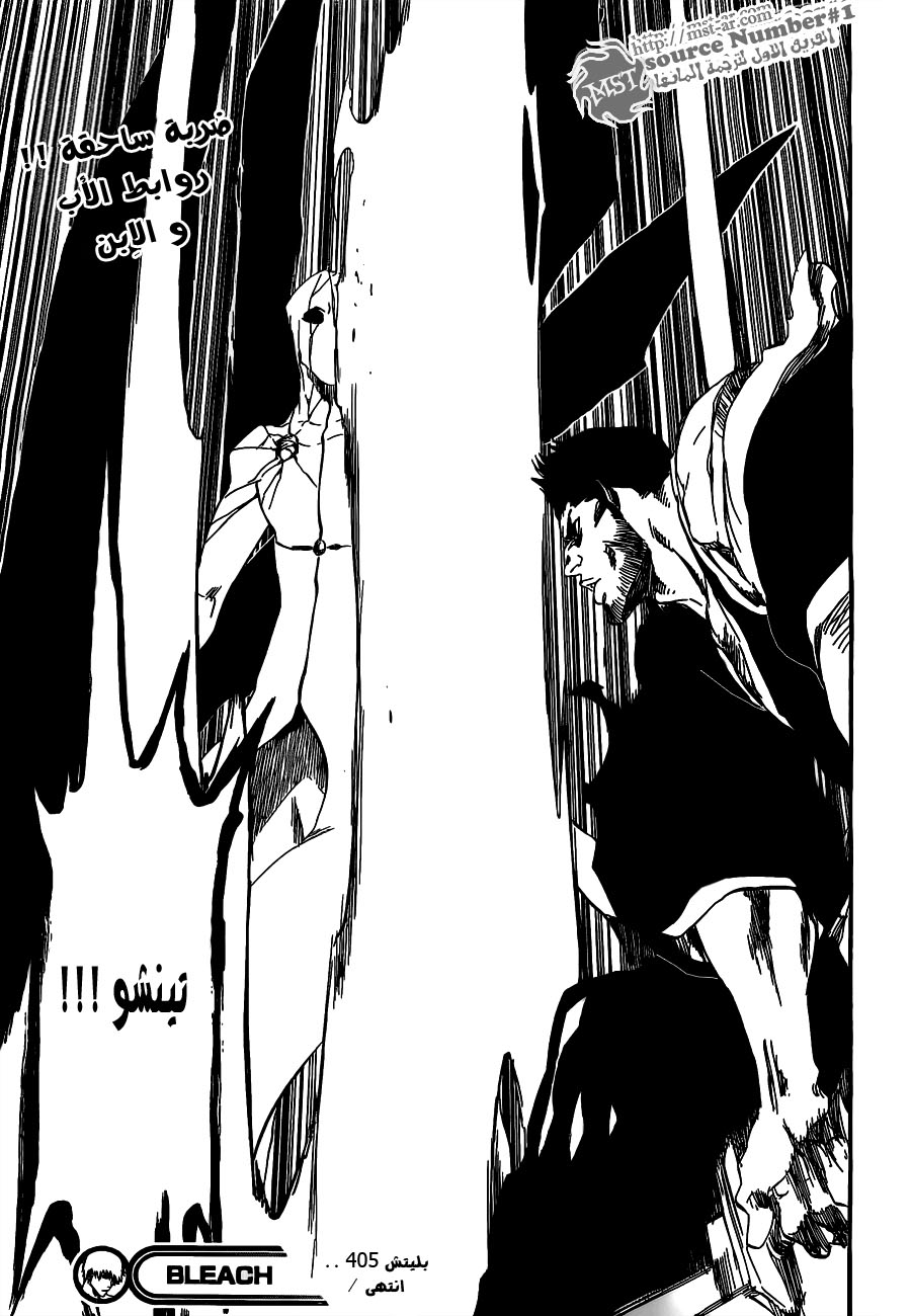 Bleach: Chapter 405 - Page 19