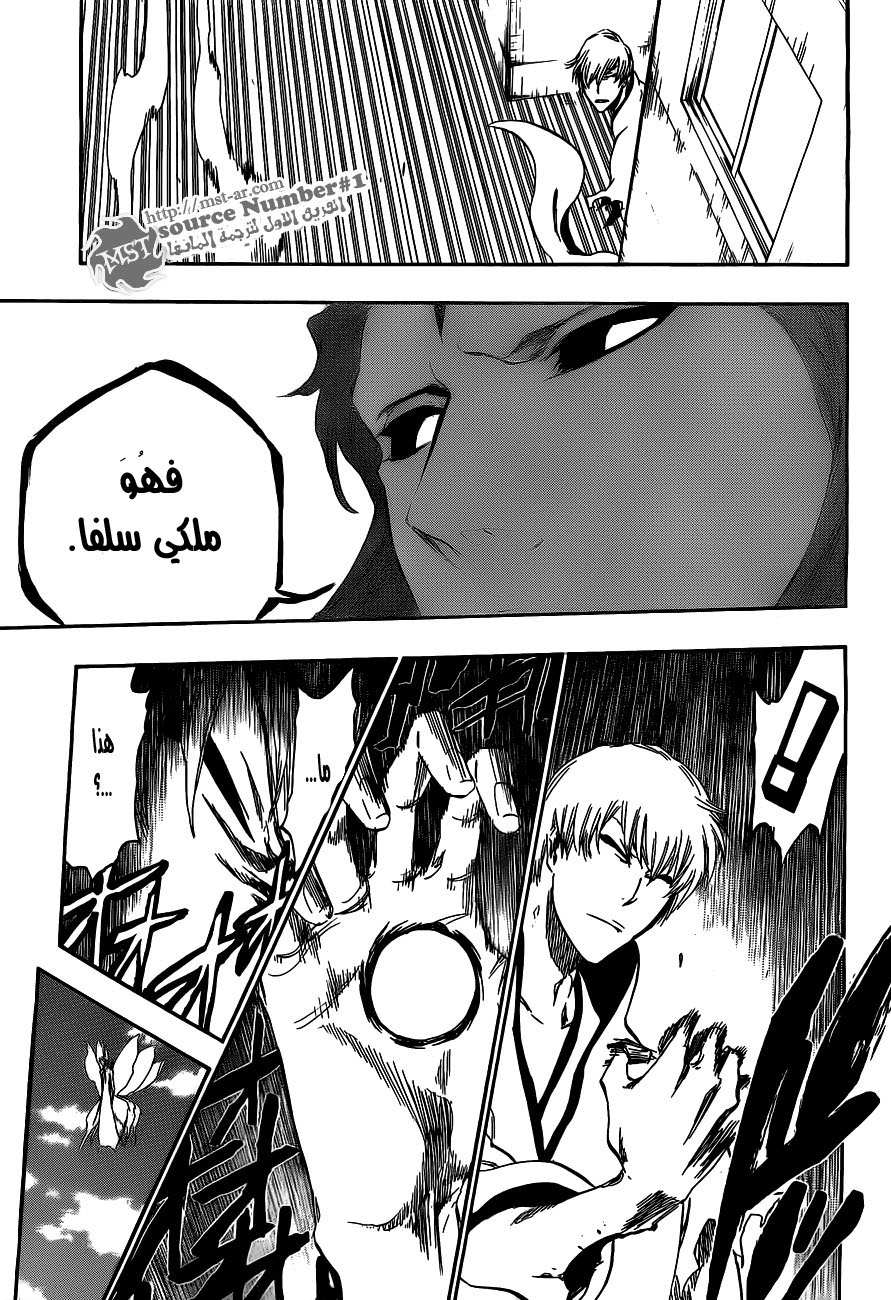 Bleach: Chapter 415 - Page 14