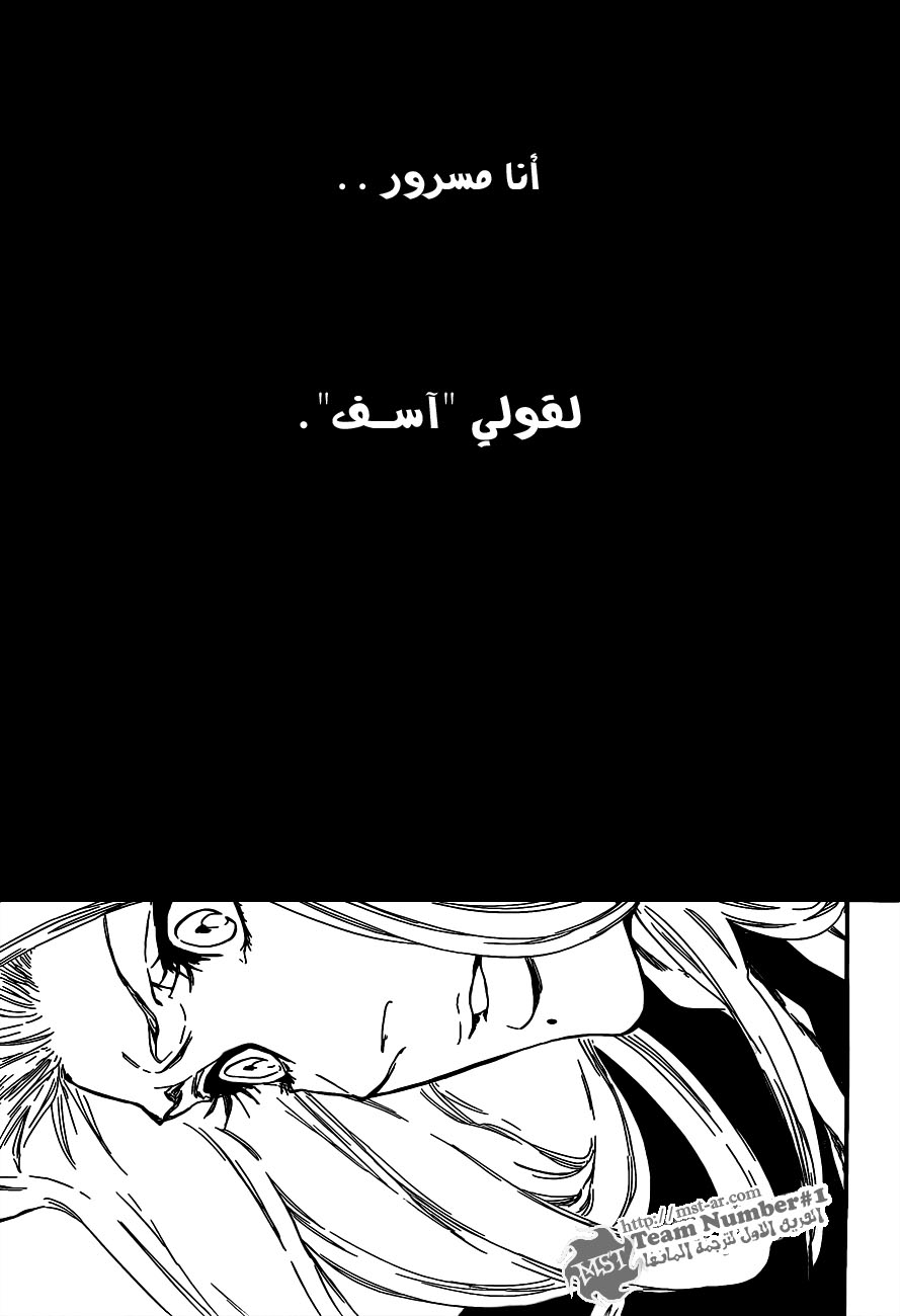 Bleach: Chapter 416 - Page 13