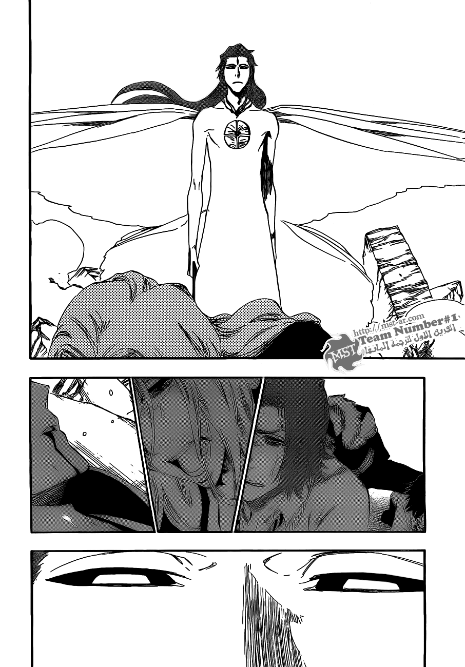 Bleach: Chapter 416 - Page 14