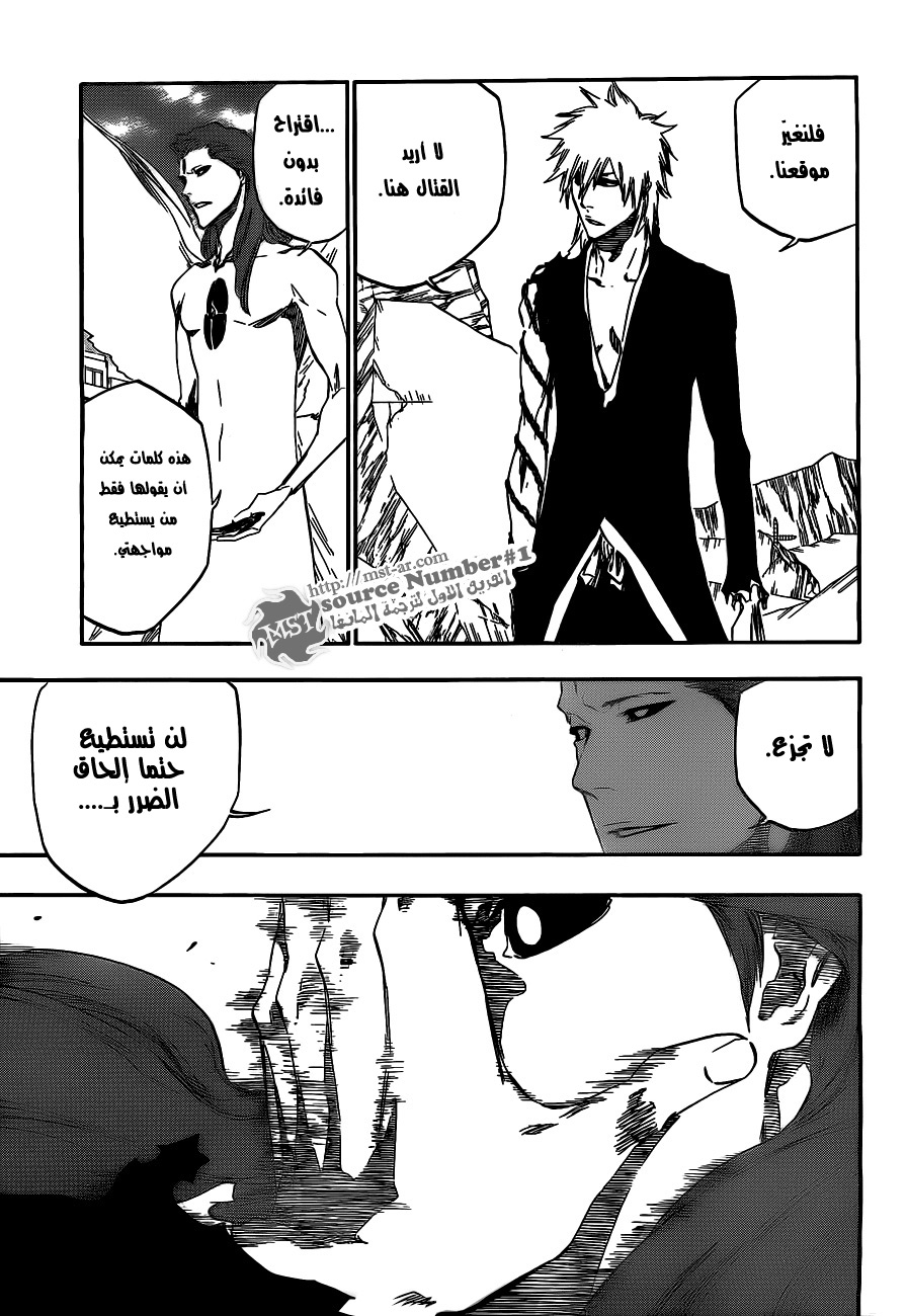 Bleach: Chapter 417 - Page 14