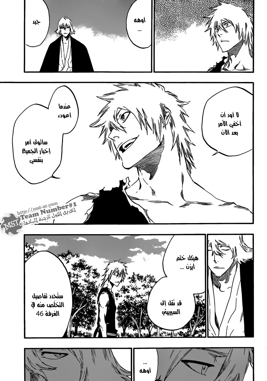 Bleach: Chapter 422 - Page 11