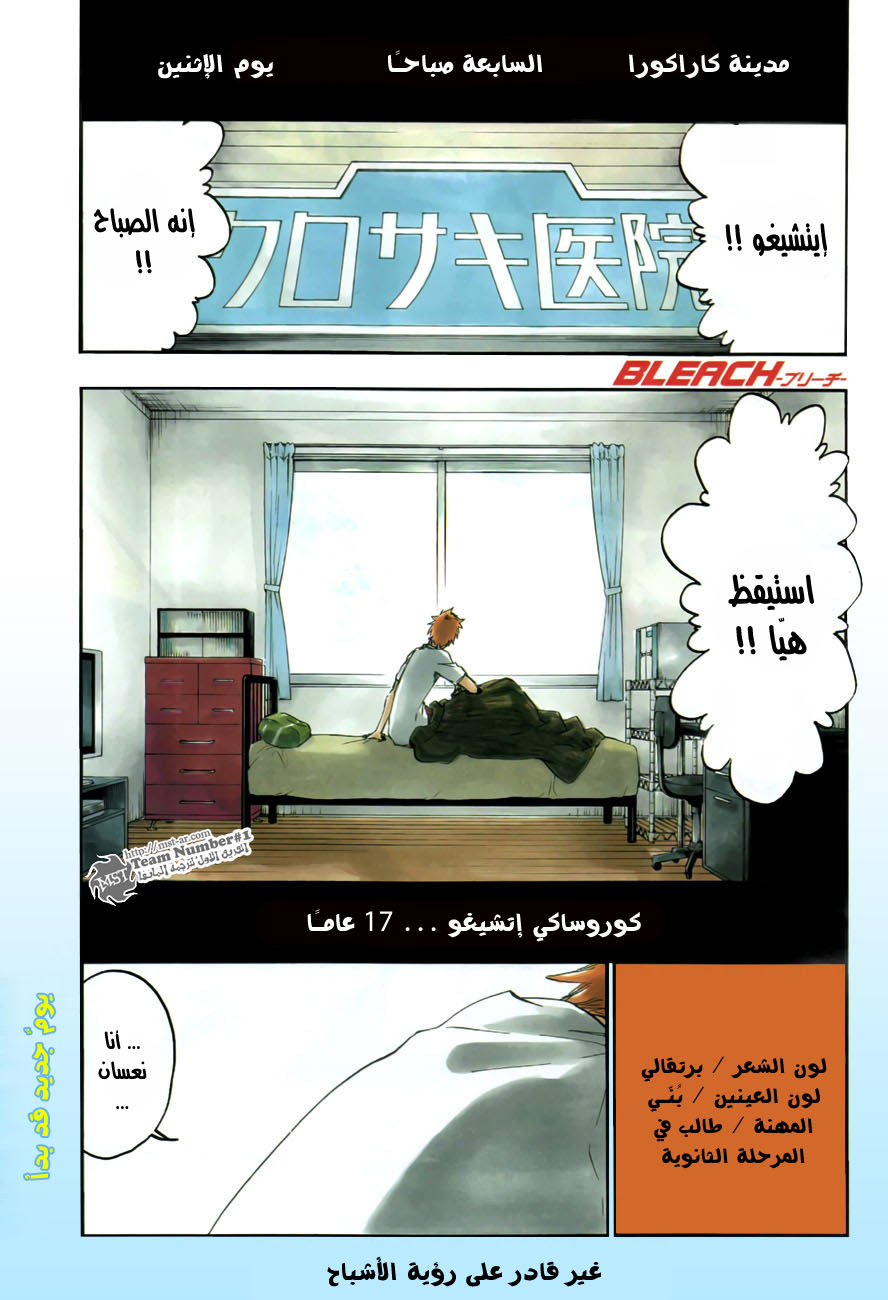 Bleach: Chapter 424 - Page 2