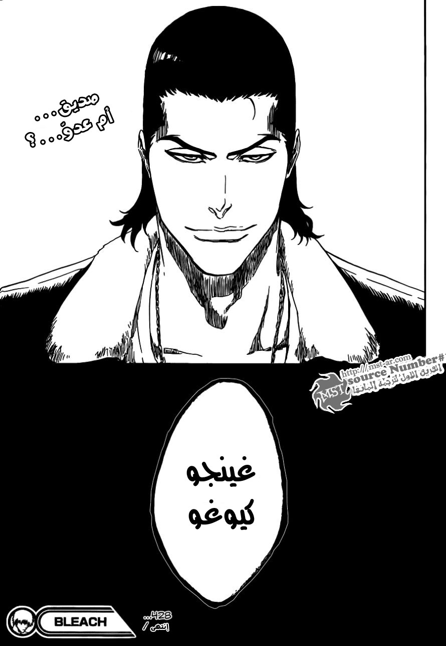 Bleach: Chapter 428 - Page 25