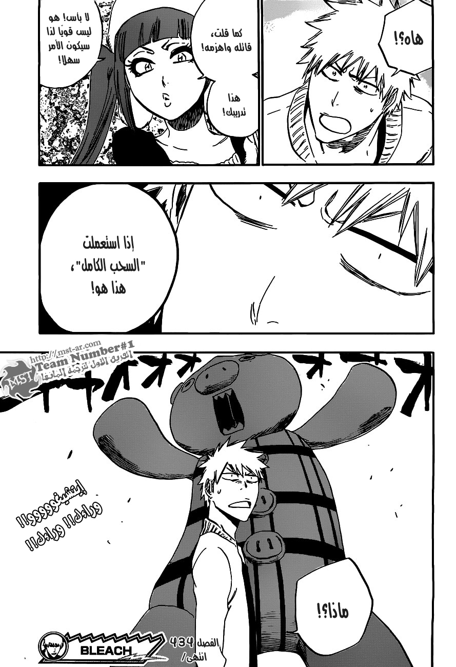 Bleach: Chapter 434 - Page 18