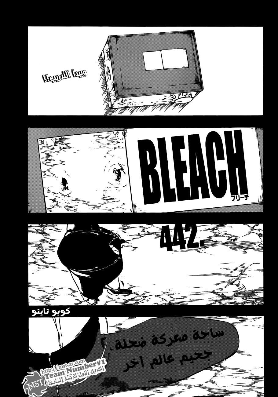 Bleach: Chapter 442 - Page 4