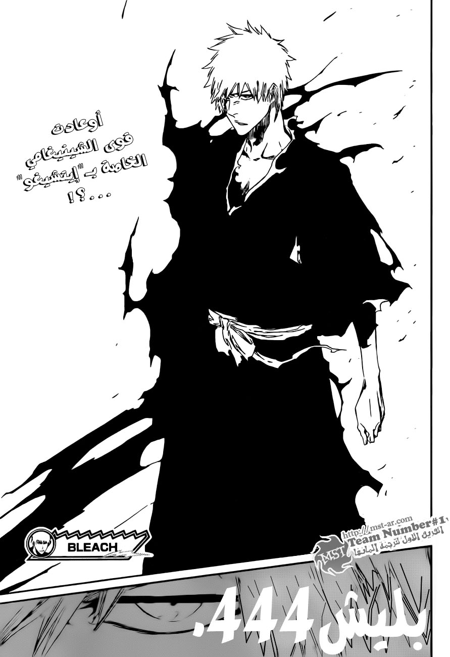 Bleach: Chapter 444 - Page 19