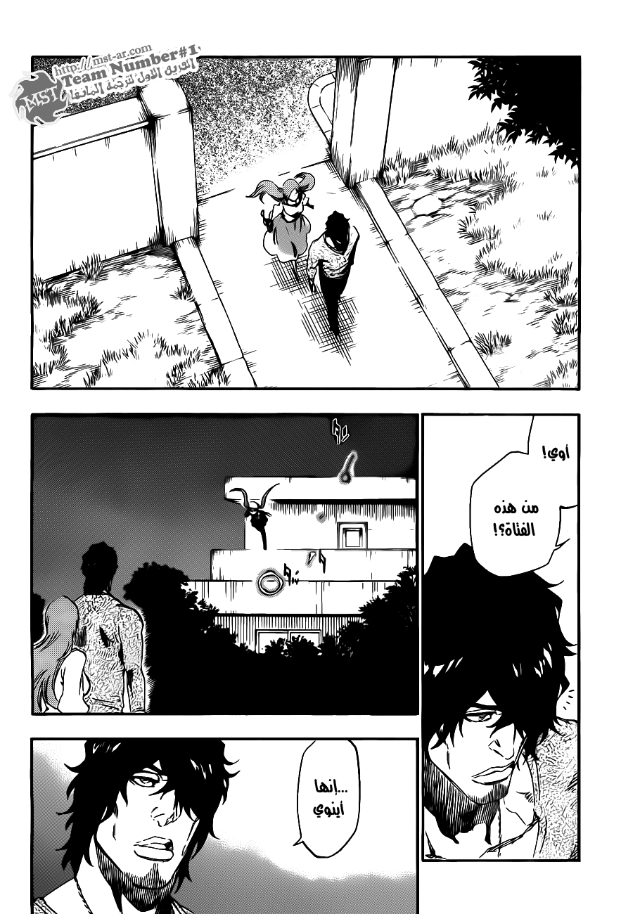 Bleach: Chapter 448 - Page 13