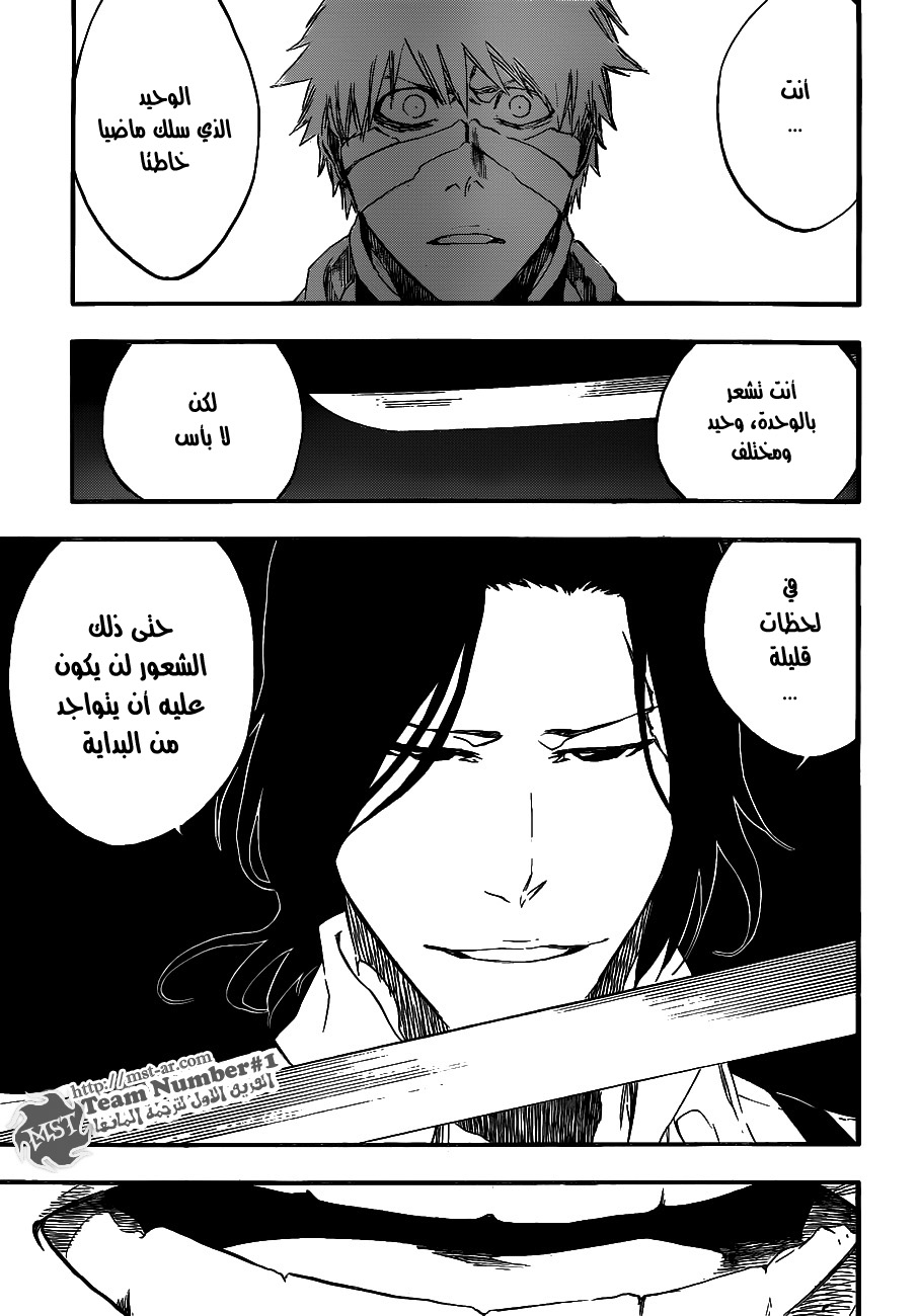 Bleach: Chapter 456 - Page 14