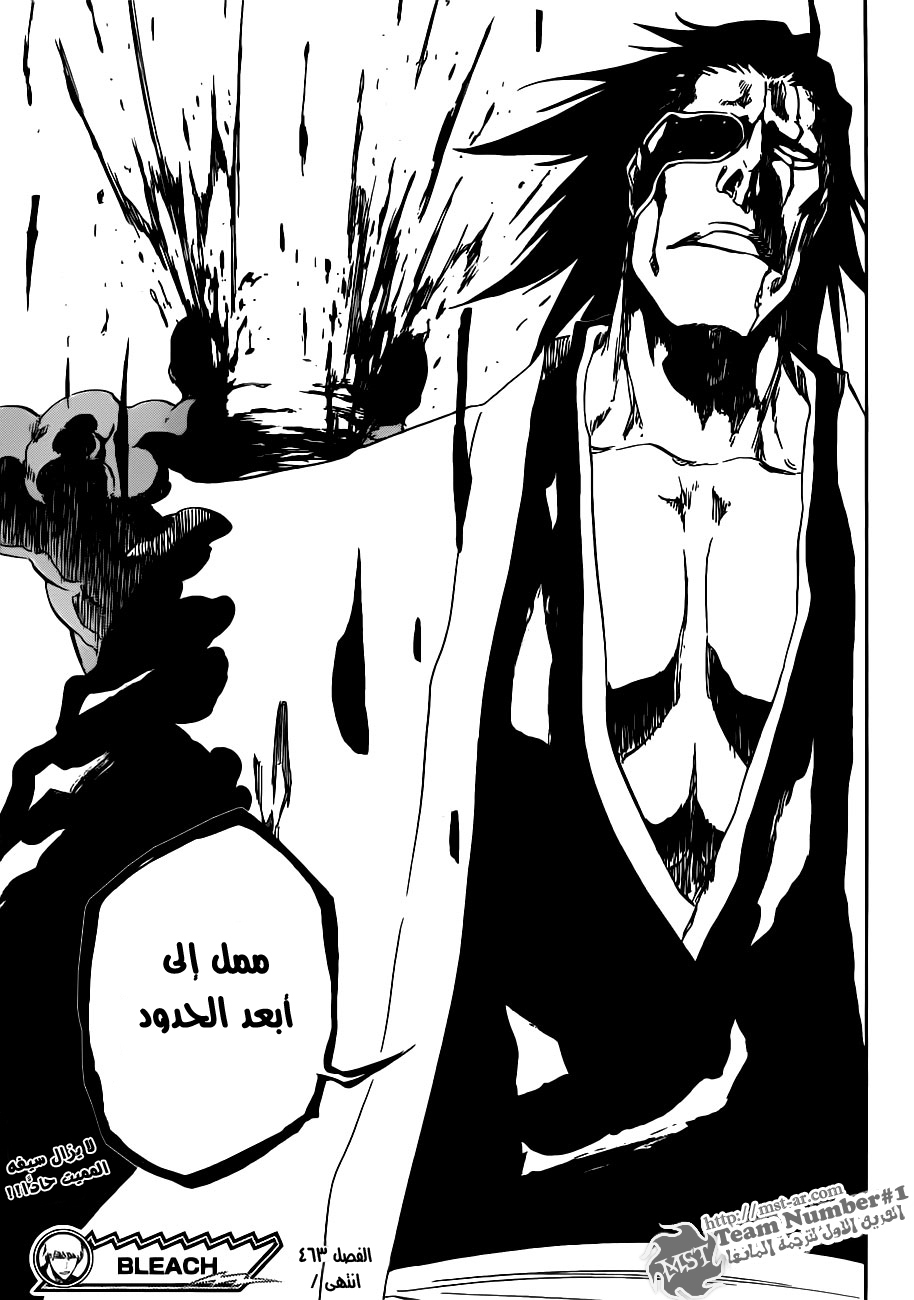 Bleach: Chapter 463 - Page 18