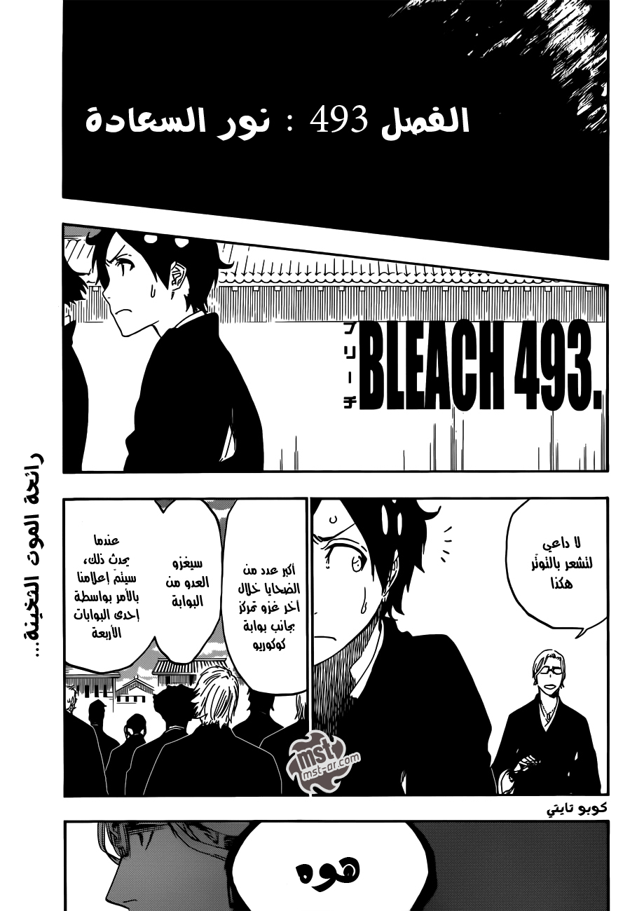 Bleach: Chapter 493 - Page 15