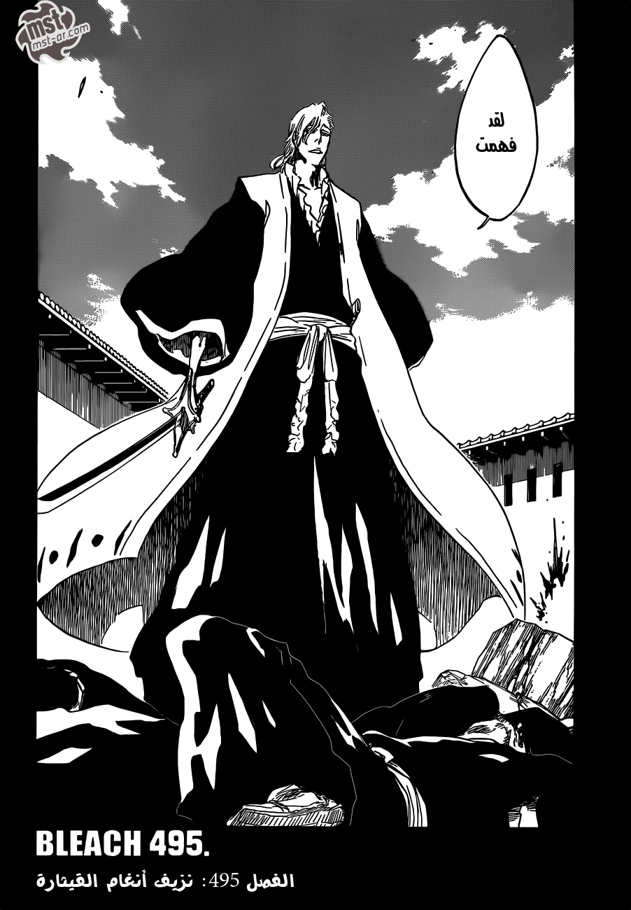 Bleach: Chapter 495 - Page 4