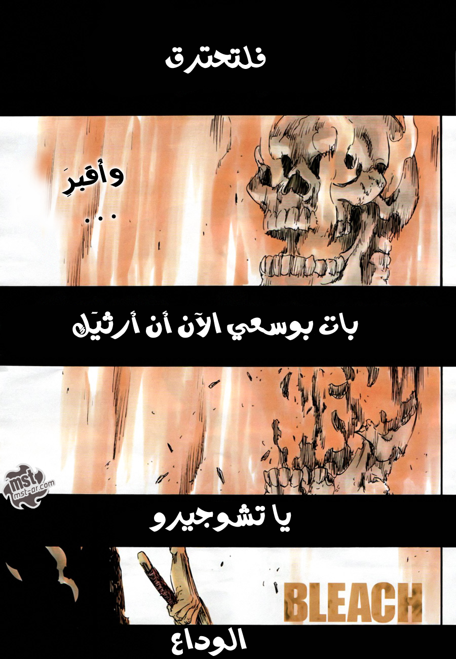 Bleach: Chapter 505 - Page 3