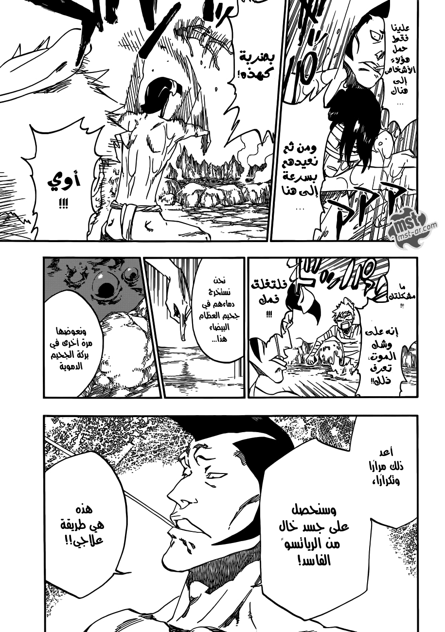 Bleach: Chapter 519 - Page 14