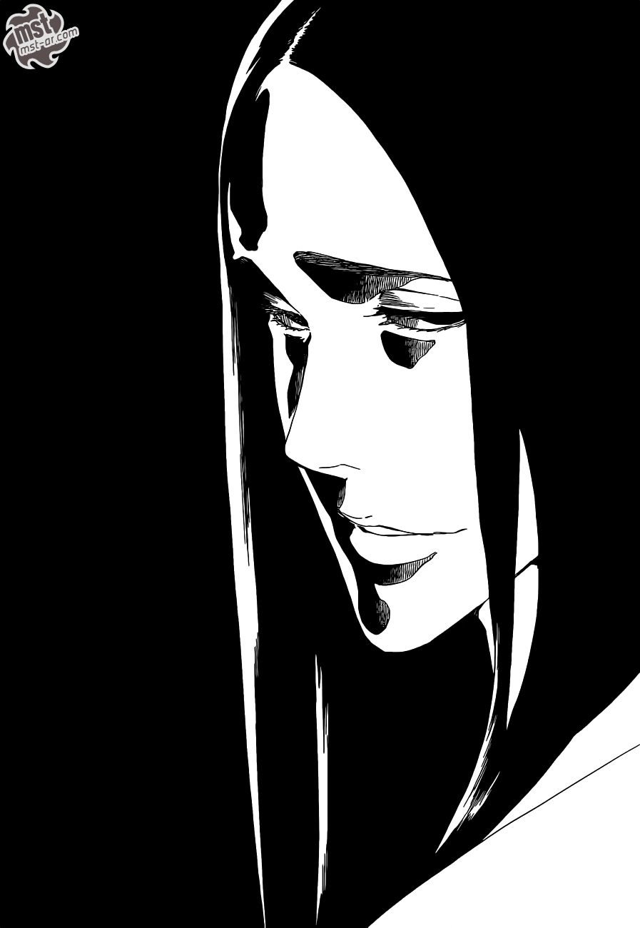 Bleach: Chapter 523 - Page 14