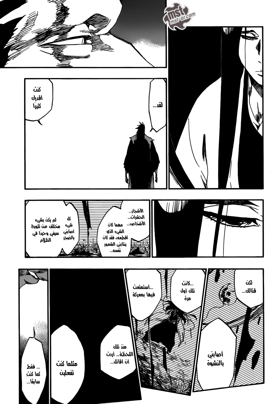 Bleach: Chapter 524 - Page 14