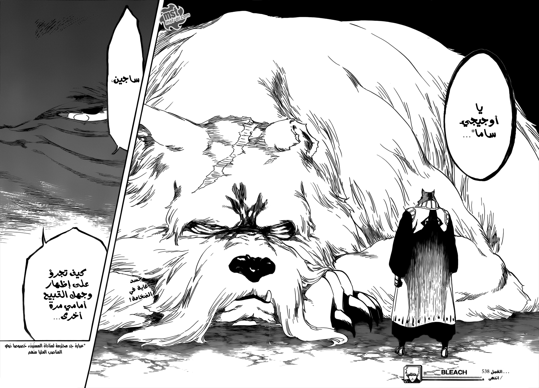 Bleach: Chapter 538 - Page 16