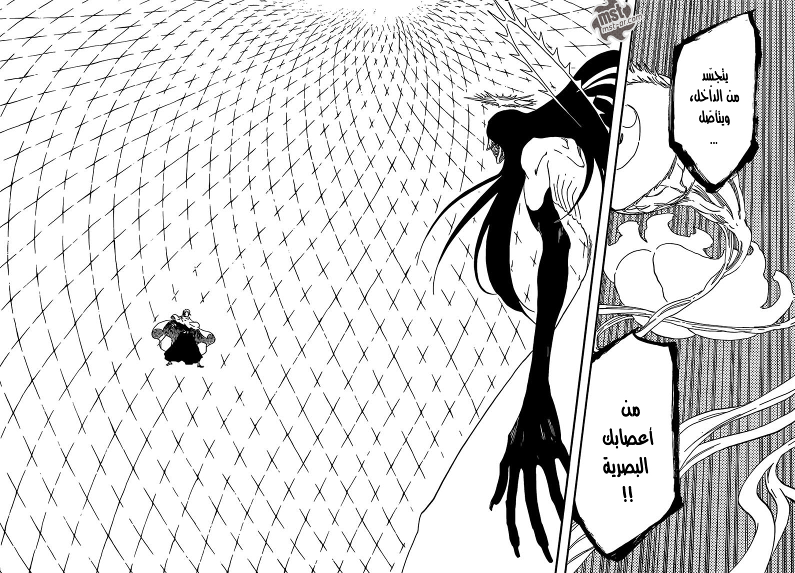 Bleach: Chapter 568 - Page 13