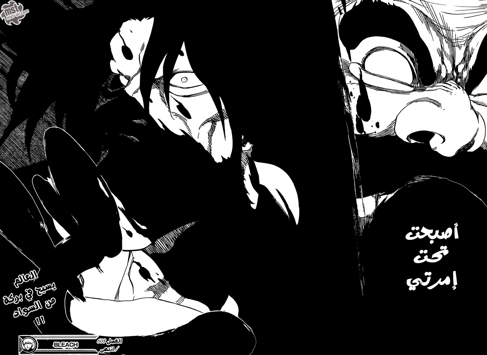 Bleach: Chapter 608 - Page 17