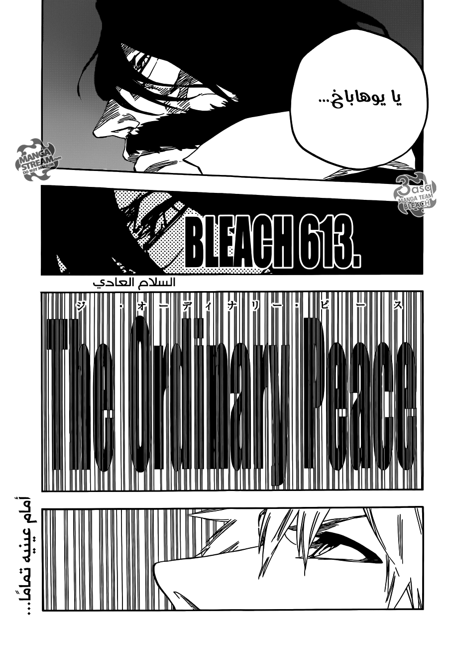 Bleach: Chapter 613 - Page 3
