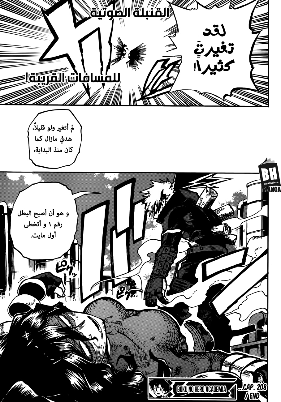 Boku no Hero Academia: Chapter 208 - Page 14