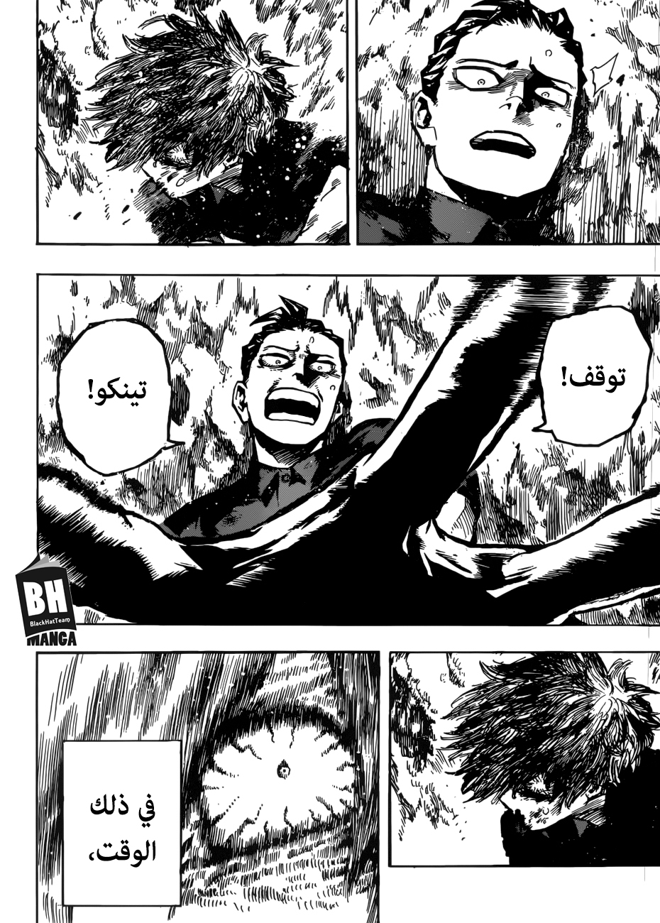 Boku no Hero Academia: Chapter 236 - Page 13