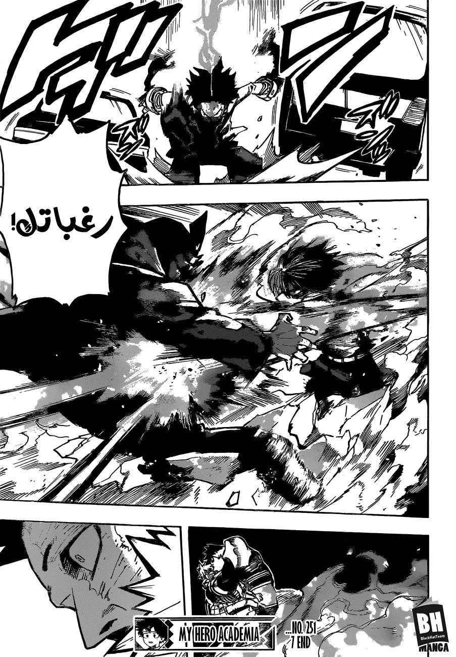 Boku no Hero Academia: Chapter 251 - Page 14