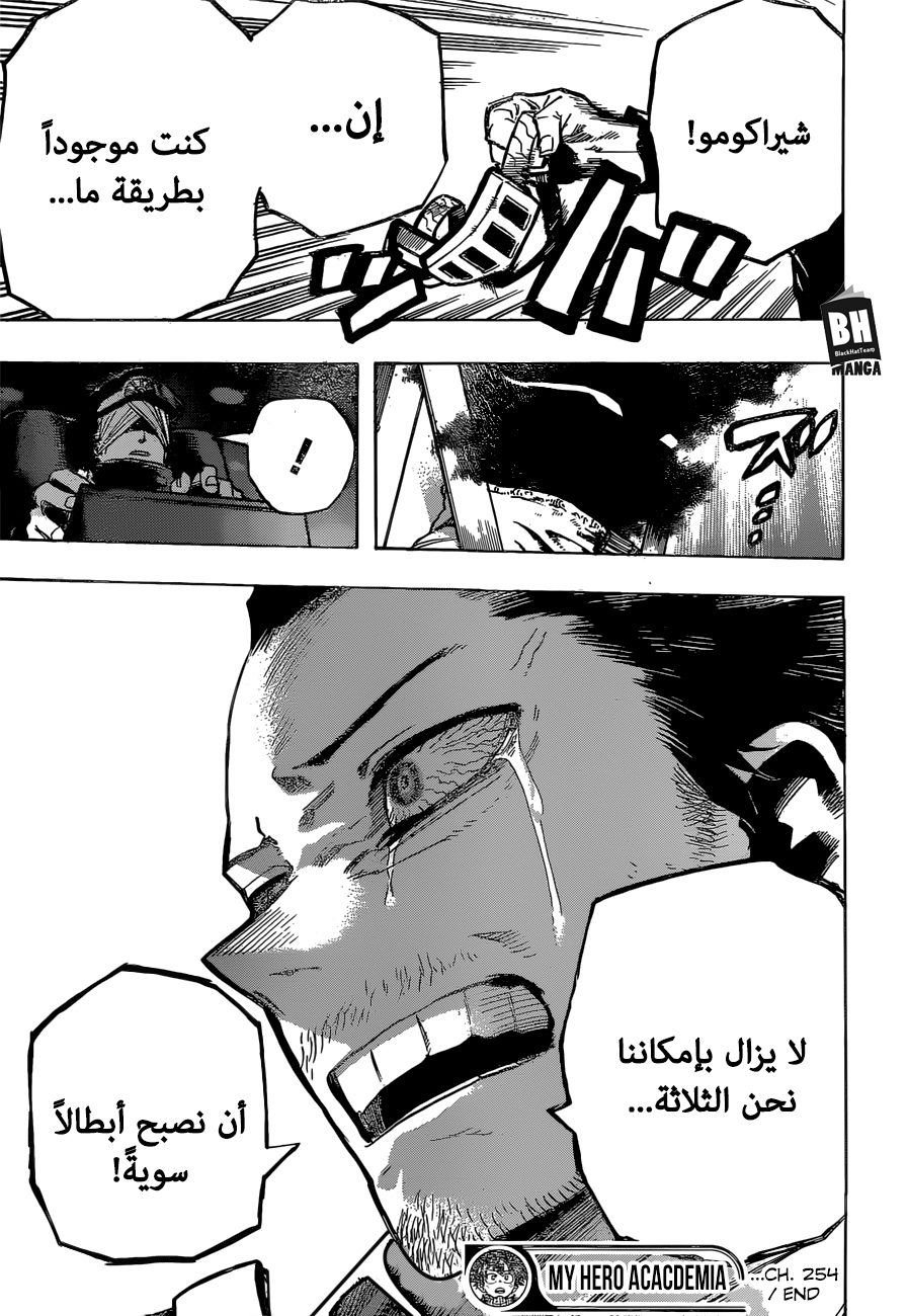 Boku no Hero Academia: Chapter 254 - Page 16