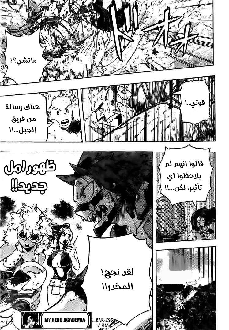 Boku no Hero Academia: Chapter 293 - Page 18